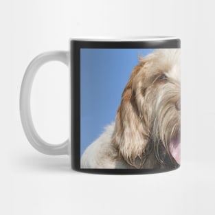 Blue Sky Spinone Mug